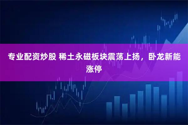 专业配资炒股 稀土永磁板块震荡上扬，卧龙新能涨停