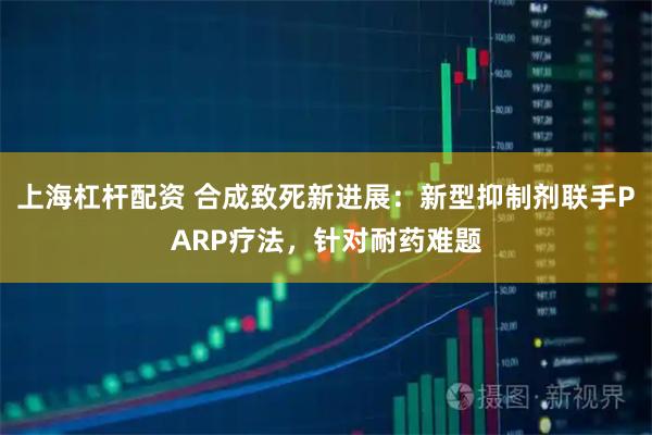 上海杠杆配资 合成致死新进展:新型抑制剂联手PARP疗法,针对耐药难题