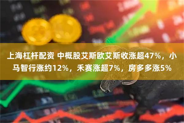上海杠杆配资 中概股艾斯欧艾斯收涨超47%，小马智行涨约12%，禾赛涨超7%，房多多涨5%
