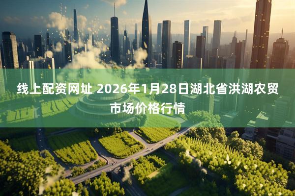 线上配资网址 2026年1月28日湖北省洪湖农贸市场价格行情