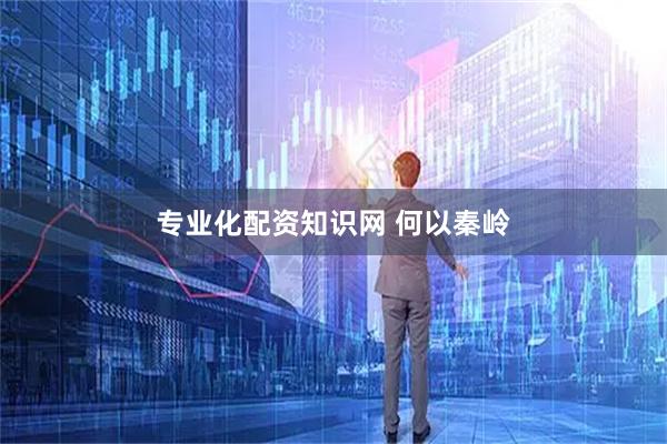 专业化配资知识网 何以秦岭
